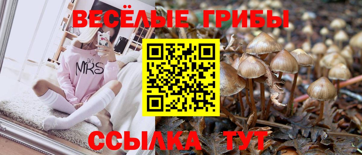 Галлюциногенные грибы мицелий  Вход с VPN  Саров 