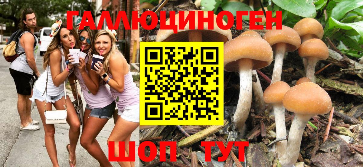 Псилоцибиновые грибы GOLDEN TEACHER Саров
